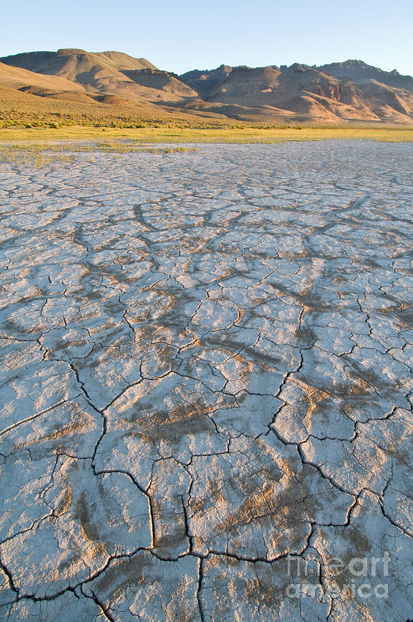 desert ore