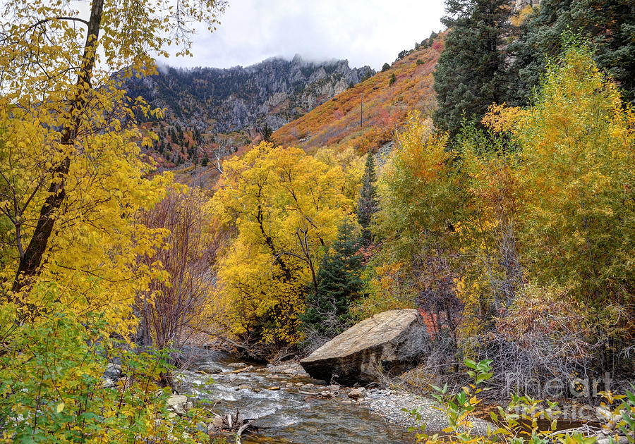 American Fork Canyon Creek in Autumn - Utah #4 Photograph by Gary Whitton