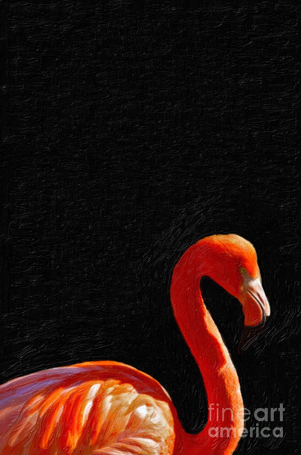 Nature Mixed Media - American Pink Flamingo #3 by Celestial Images
