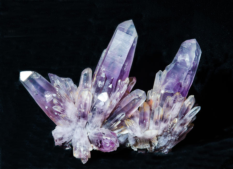 Amethyst Crystals #3 Photograph by Millard H. Sharp