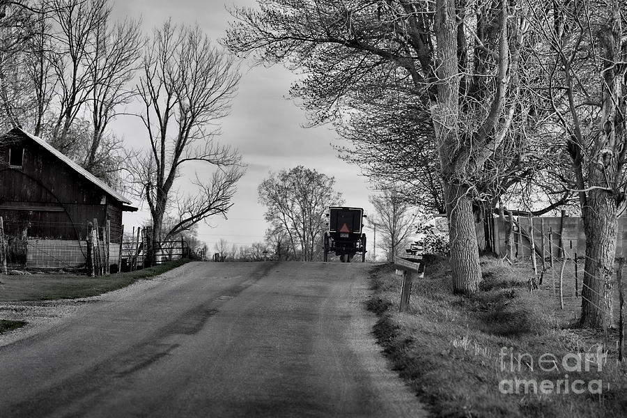 Amish Buggy Black and White #3 Photograph by David Arment