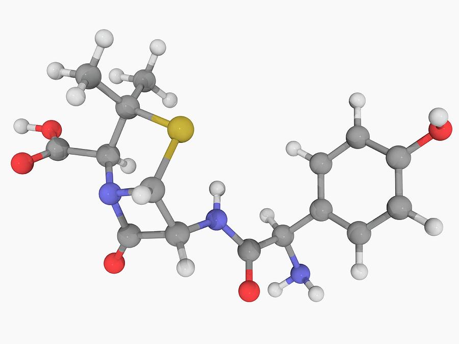 augmentin structure