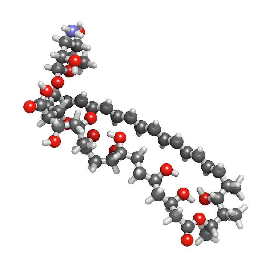 Amphotericin B Antifungal Drug Molecule Photograph By Molekuul - Fine ...