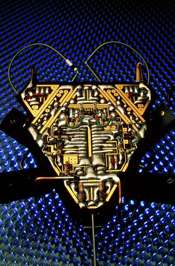 Analogue Robot Insect #3 Photograph by Peter Menzel/science Photo Library