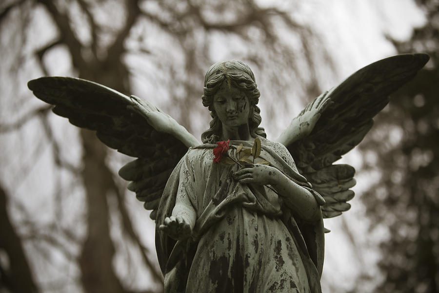 Angel #3 Photograph by Maria Heyens