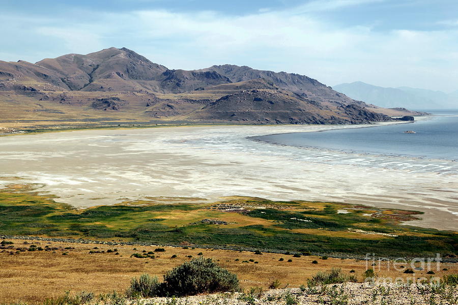 Nature Photograph - Antelope Island #3 by Sophie Vigneault