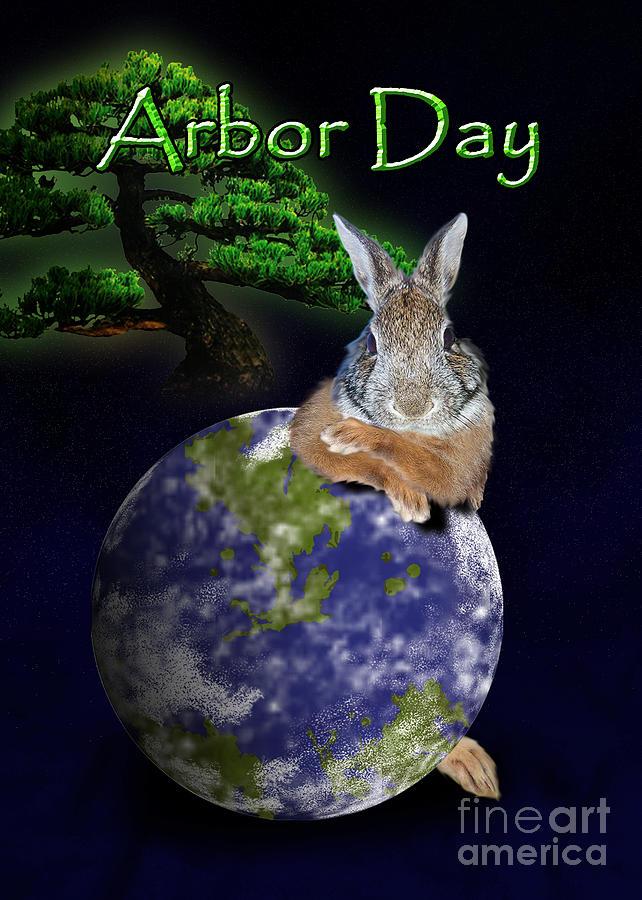 Nature Photograph - Arbor Day Bunny Rabbit #3 by Jeanette K