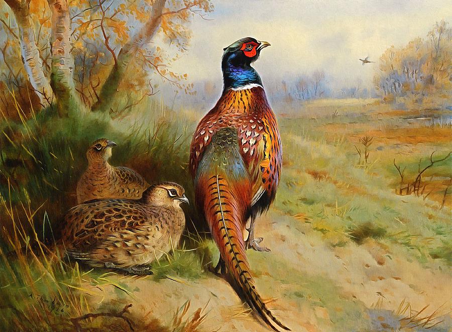 Pheasant At The Edge Of The Wood Painting by Archibald Thorburn
