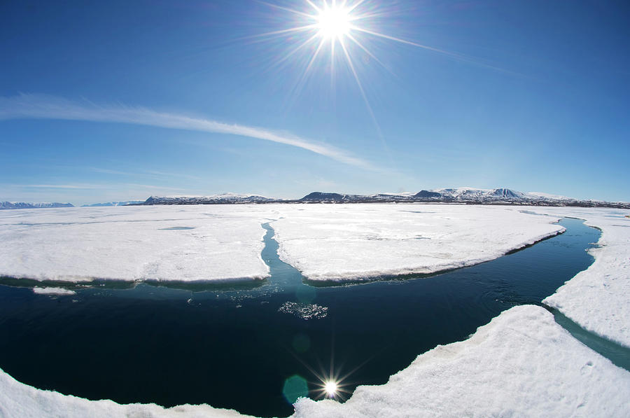 Arctic Sea Ice Melting Photograph by Louise Murray/science Photo ...