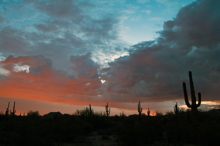 Arizona Sunset #3 Photograph by Tam Ryan