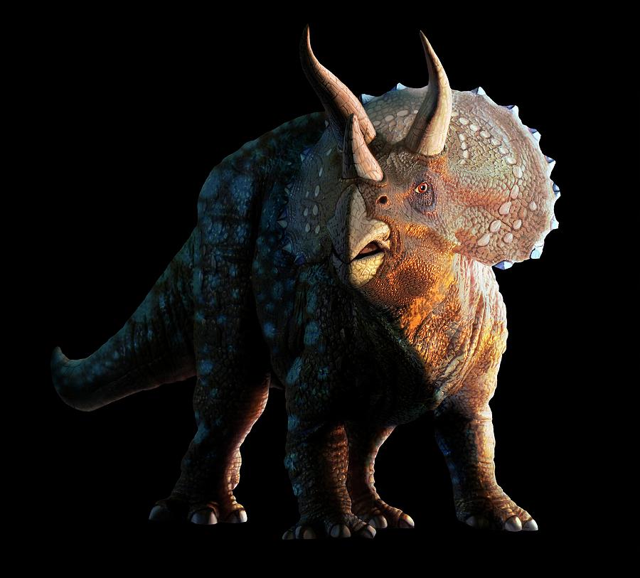 Artwork Of A Triceratops #3 Photograph by Mark Garlick/science Photo ...