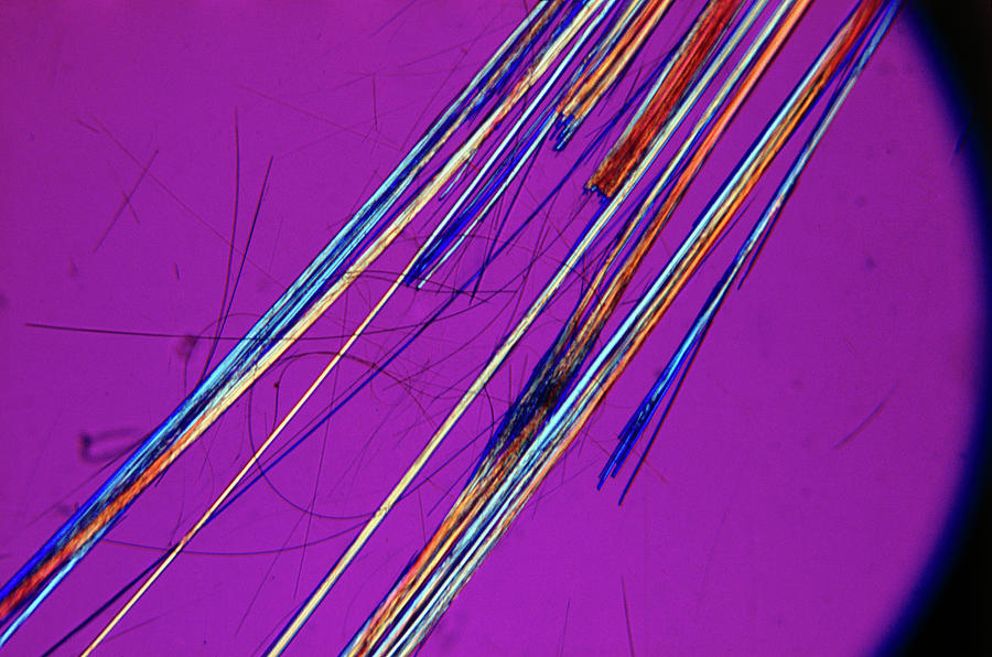 Asbestos Fibres #3 Photograph by Don Thomson/science Photo Library.