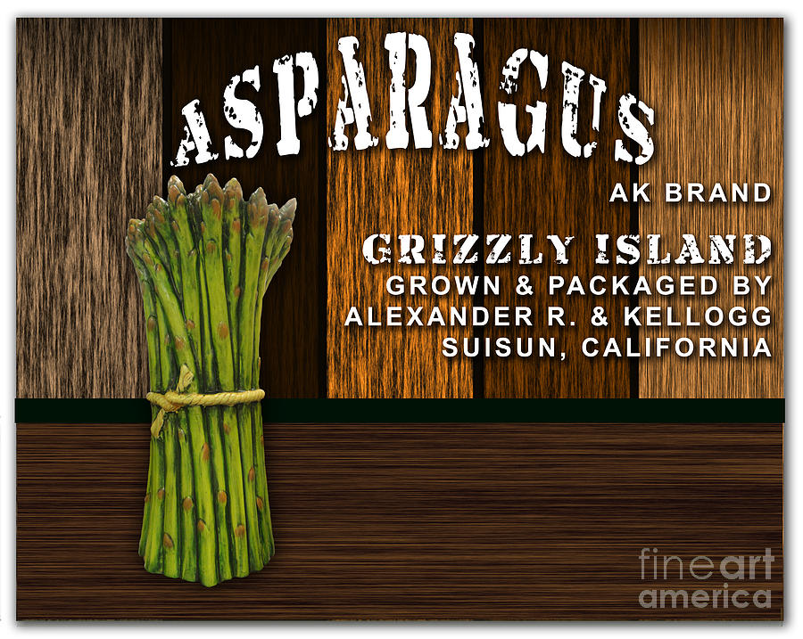 Asparagus Farm #3 Mixed Media by Marvin Blaine