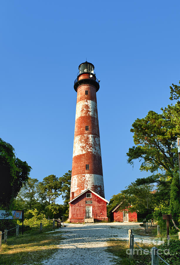 Assateague Lighthouse Photograph