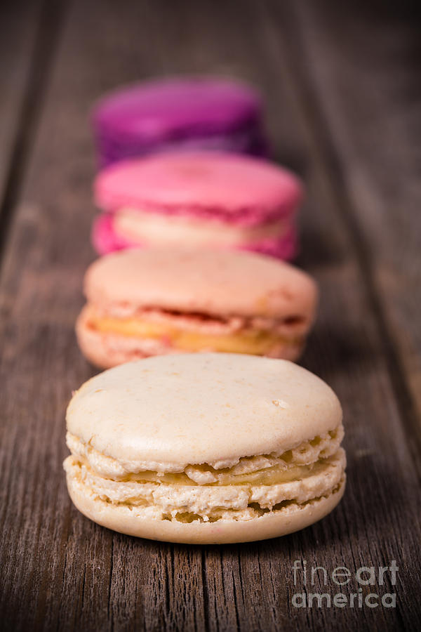 Cake Photograph - Assorted macaroons vintage #3 by Jane Rix