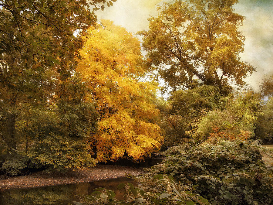 Autumn Creek #1 Photograph by Jessica Jenney