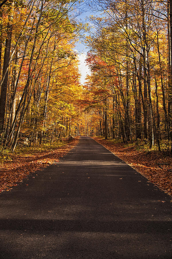 Autumn Drive #3 Photograph by Andrew Soundarajan