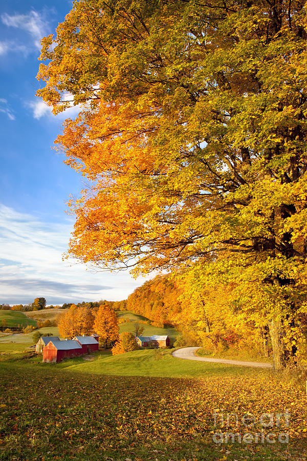 Autumn Farm in Vermont #2 Photograph by Brian Jannsen