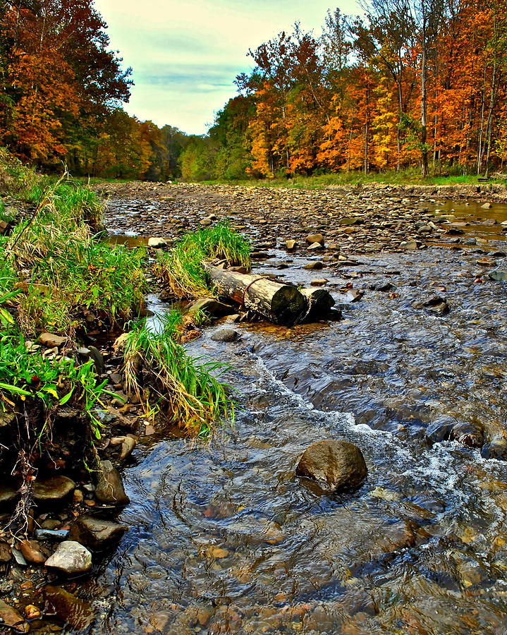 Autumn Stream #3 Photograph by Frozen in Time Fine Art Photography