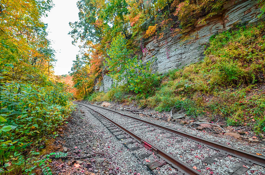 Autumn Tracks #3 Photograph by Brian Stevens