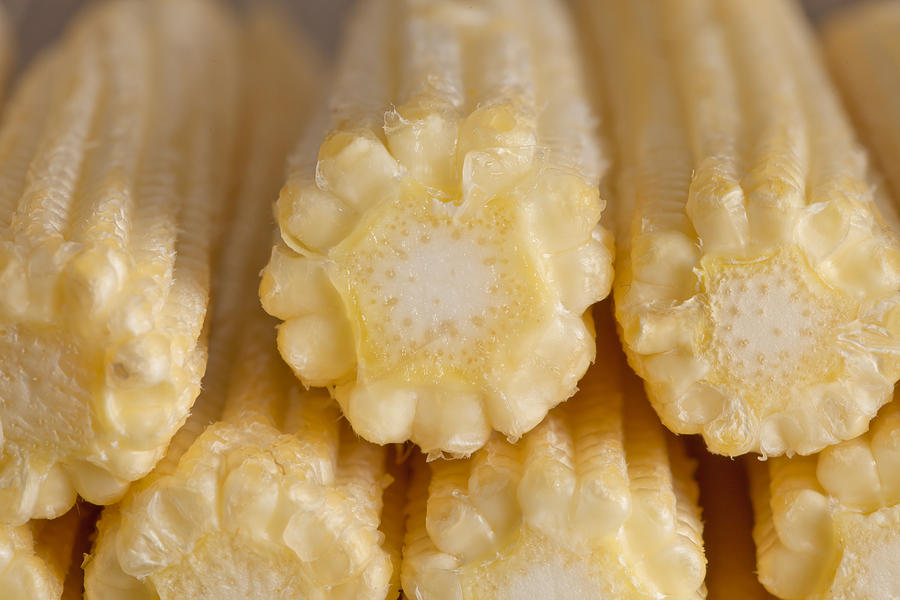 Cereal Photograph - Babycorn #3 by Tom Gowanlock