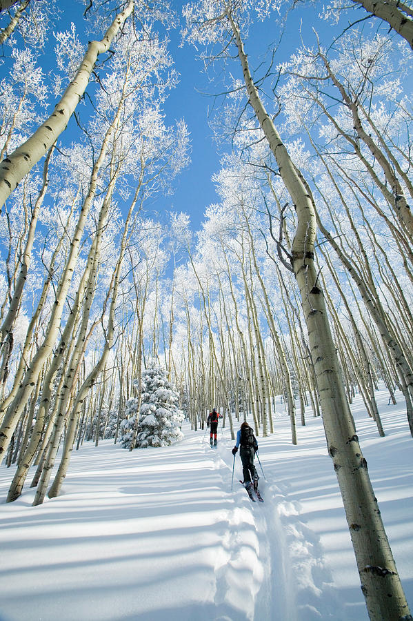 Backcountry Skiing In The Sangre #3 Photograph by Jen Judge Backcountry Skiing In The Sangre #3 Photograph by Jen Judge