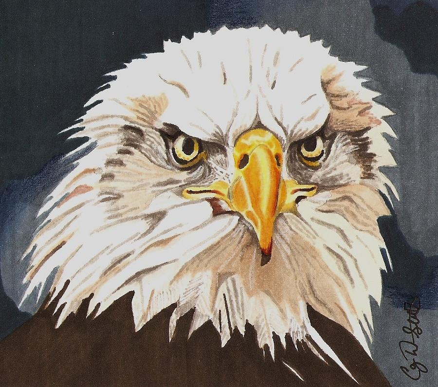 eagle drawing full body