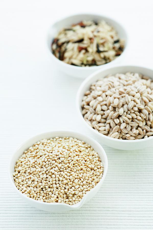 Barley #3 Photograph by Science Photo Library Barley #3 Photograph by Science Photo Library