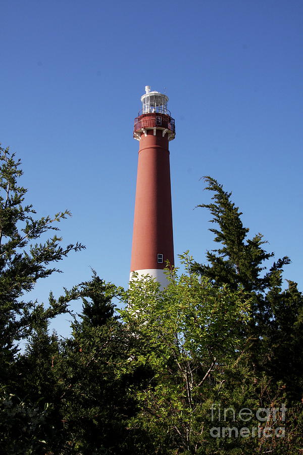 Barnegat Lighthouse #1 Photograph by Christiane Schulze Art And Photography