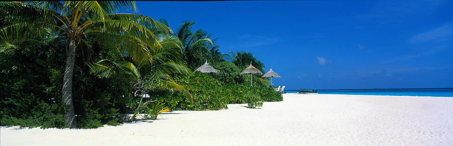 Beach Scene The Maldives Photograph By Panoramic Images 