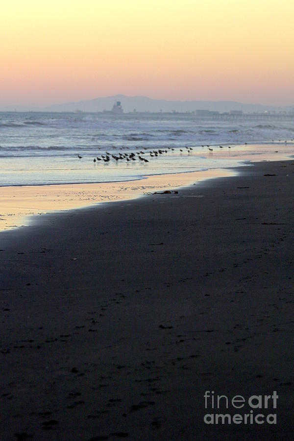 Beach Sunset Ormond Beach #3 Photograph by Henrik Lehnerer