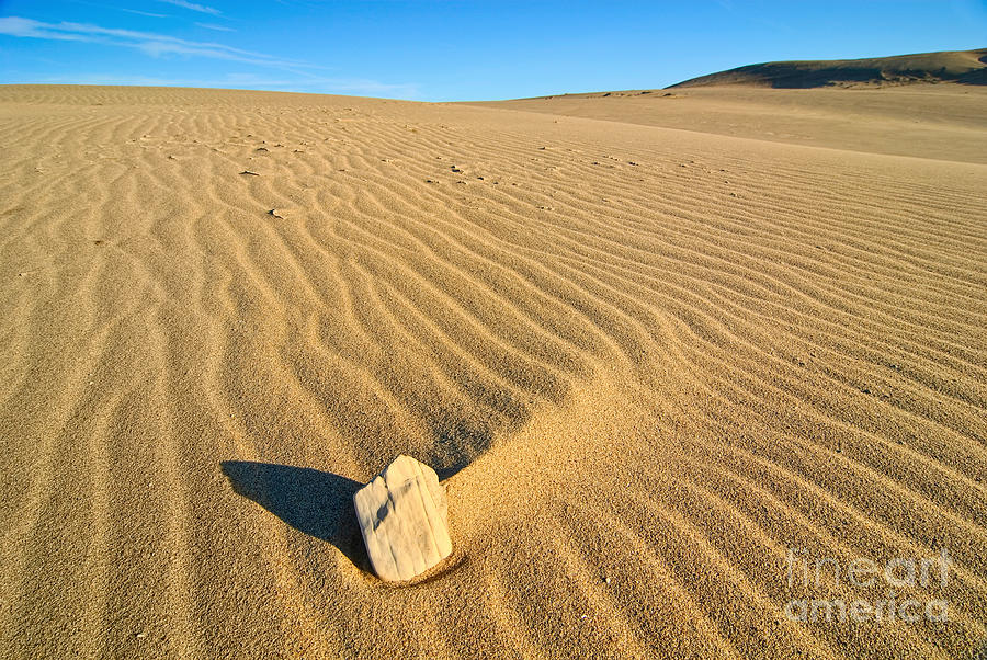 Pattern Photograph - Beautiful sand dunes of the Rancho Guadalupe Dunes Preserve in California #3 by Jamie Pham