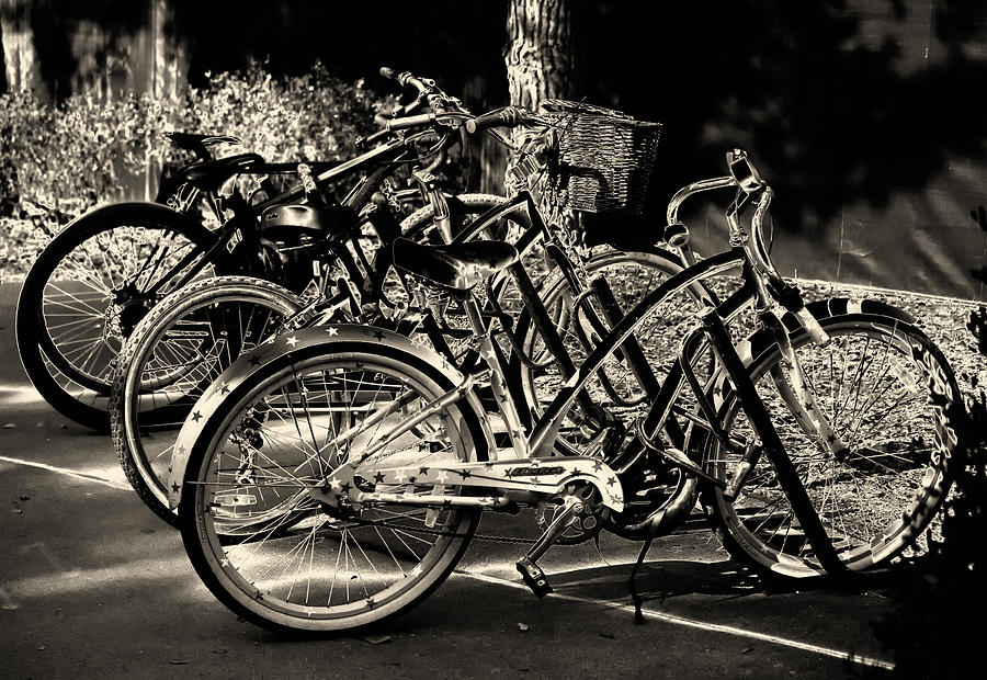 3 Bikes Photograph by Jessica Levant