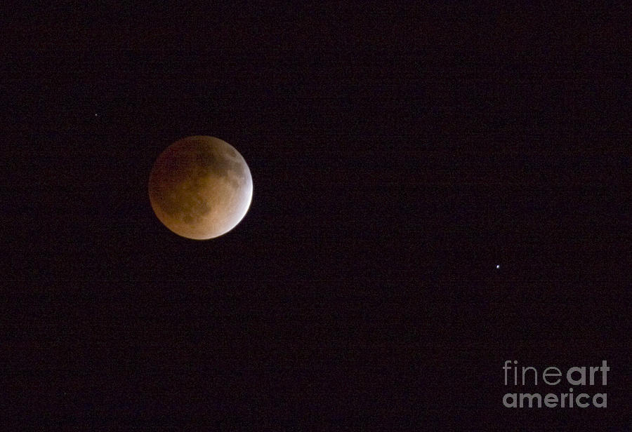 Blood Moon #3 Photograph by Steven Krull