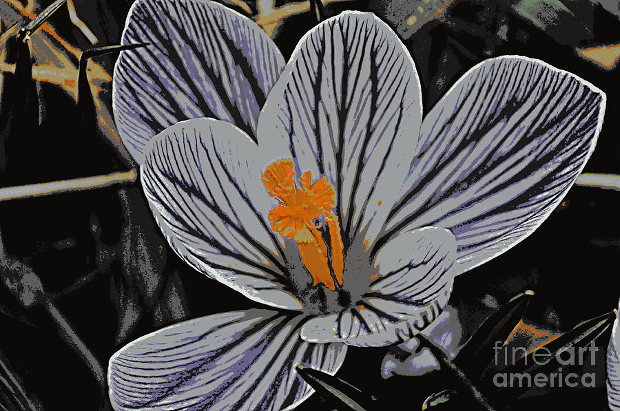 Spring Photograph - Bloom #3 by Anjanette Douglas