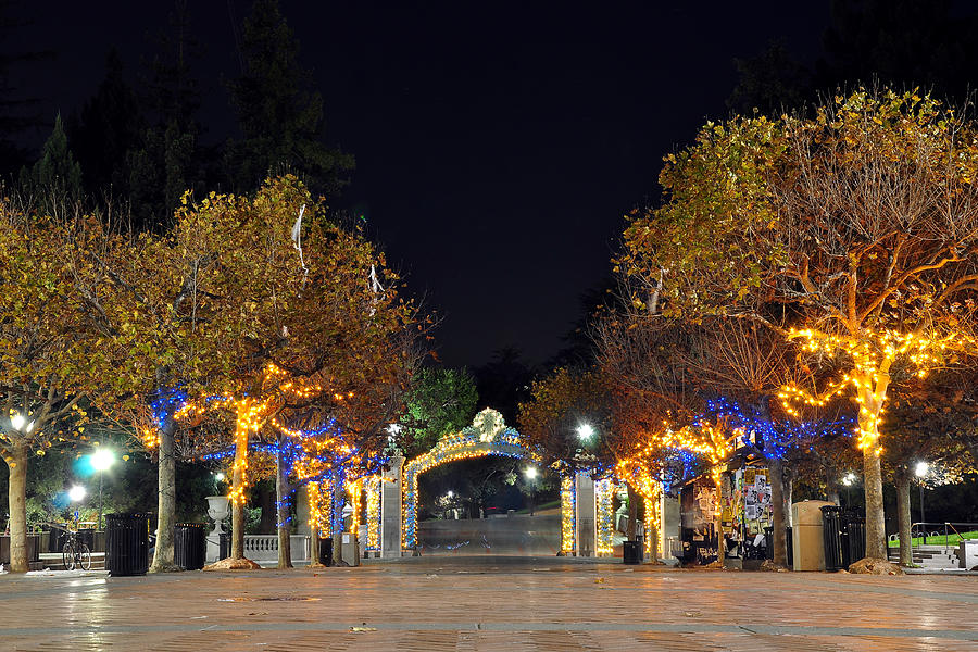 Blue and Gold Sather Gate #3 Photograph by Joel Thai