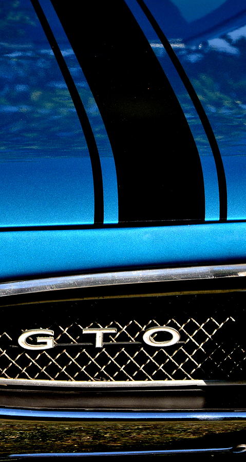 Blue GTO #3 Photograph by Dean Ferreira