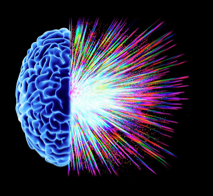 Brain Explosion #3 Photograph by Alfred Pasieka/science Photo Library