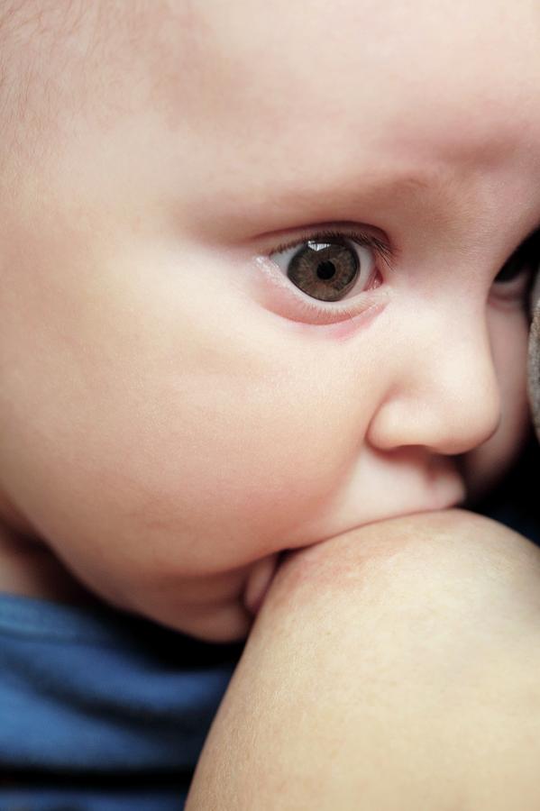 Human Photograph - Breast-feeding #3 by Mauro Fermariello/science Photo Library