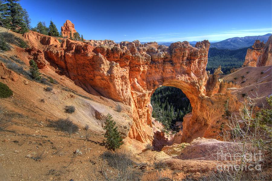 Bryce Canyon #3 Photograph by Marc Bittan