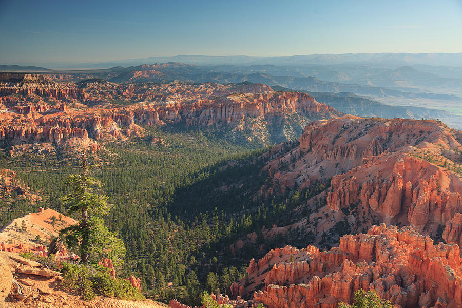 Bryce Canyon National Park #3 Photograph by Michele Falzone