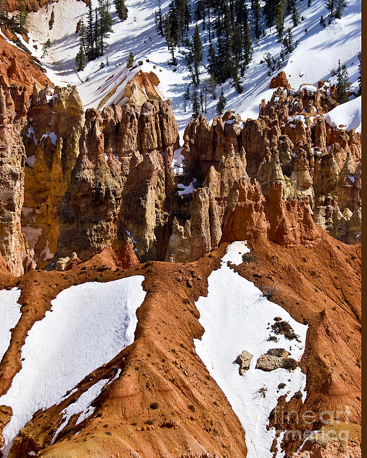 Gallery Photograph - Bryce Canyon National Park #3 by Richard Smukler
