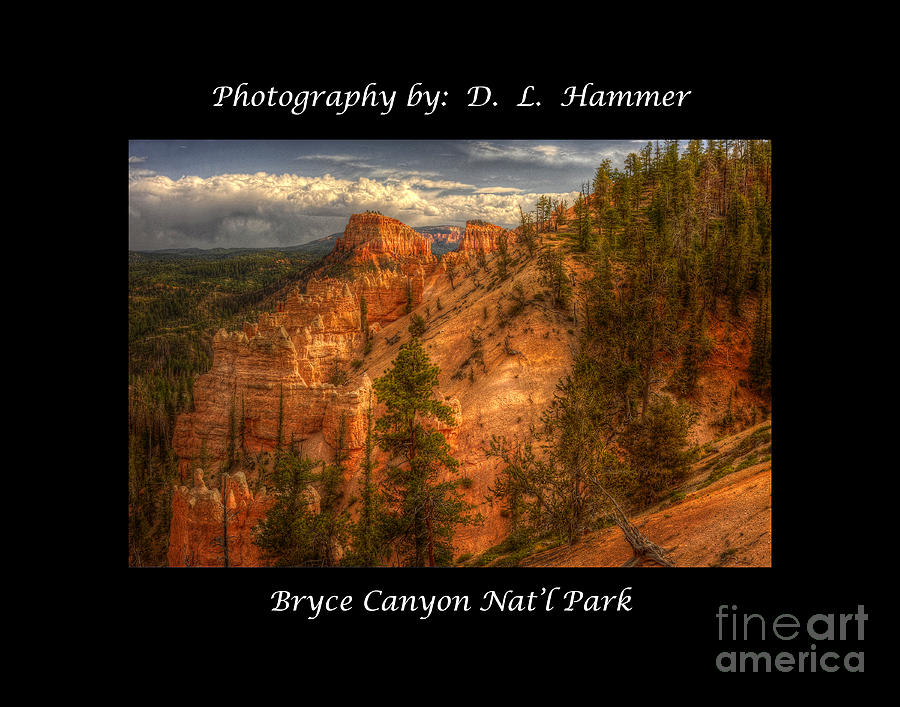 Bryce Canyon Natl Park #3 Photograph by Dennis Hammer