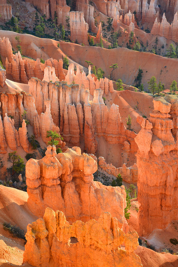 Bryce Canyon #17 Photograph by Ray Mathis