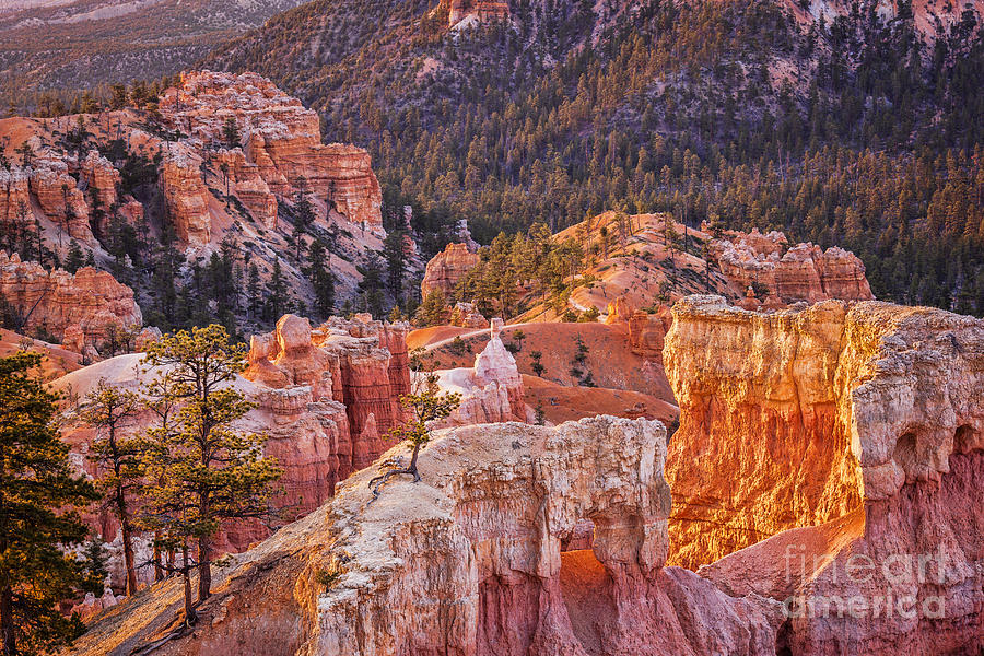 Bryce Canyon Utah USA #3 Photograph by Colin and Linda McKie
