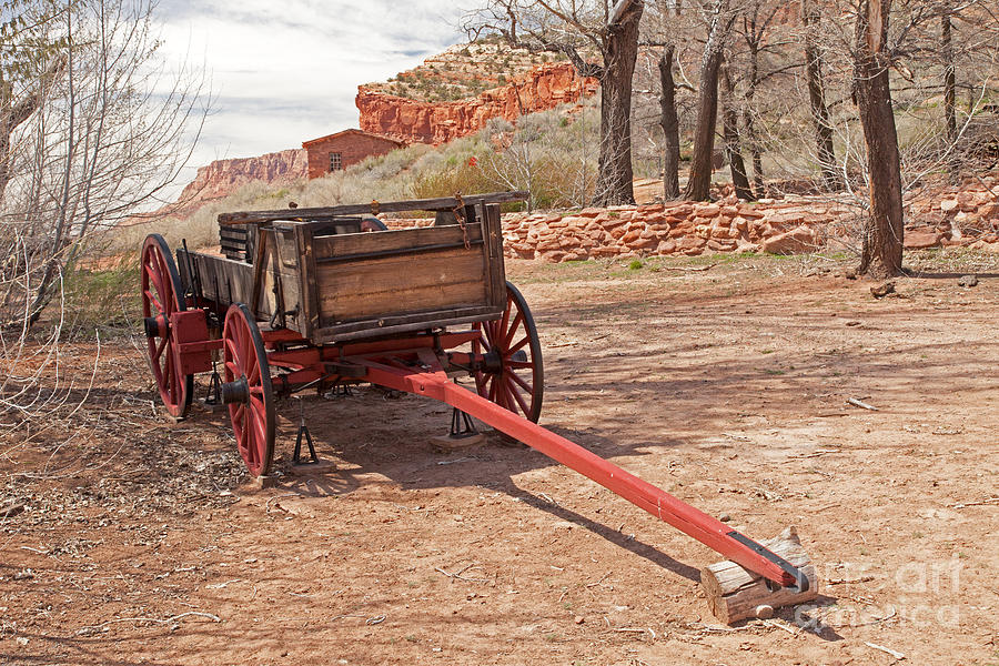 Buckboard Pipe Spring National Monument #3 Photograph by Fred Stearns