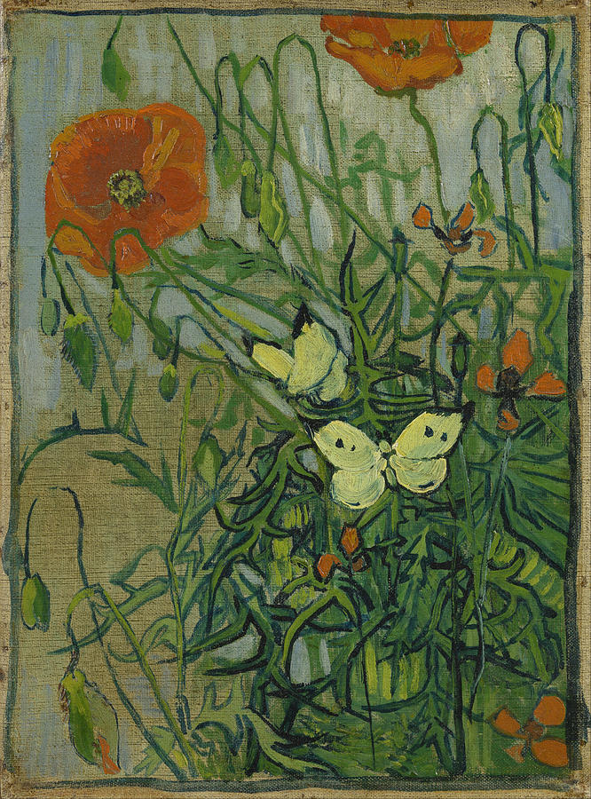 Butterflies And Poppies Painting by Vincent Van Gogh