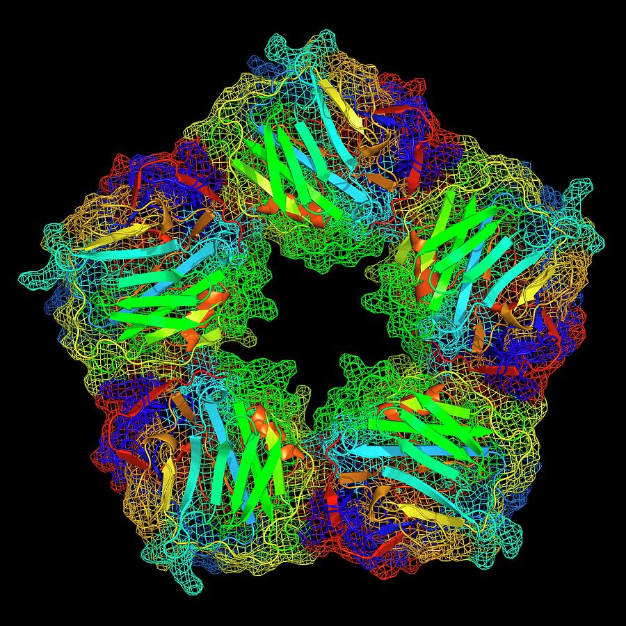 c-reactive-protein-3-photograph-by-alfred-pasieka-science-photo