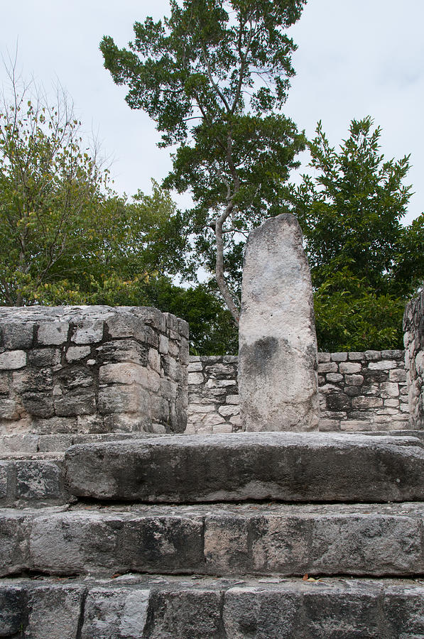 Calakmul Mayan Ruins #3 Digital Art by Carol Ailles