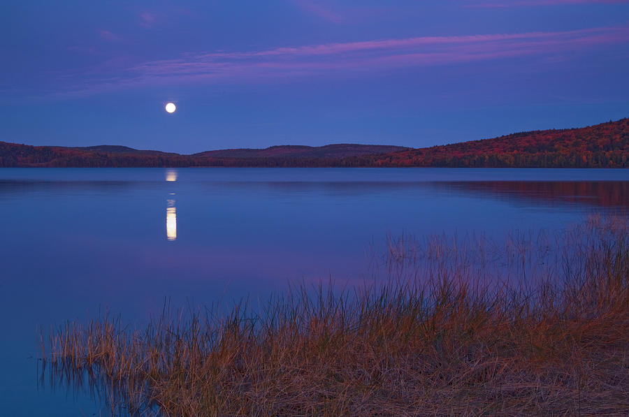 Algonquin Provincial Park Photograph - Canada, Ontario, Algonquin Provincial by Jaynes Gallery Algonquin Provincial Park Photograph - Canada, Ontario, Algonquin Provincial by Jaynes Gallery